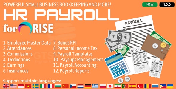 HR Payroll plugin for RISE CRM