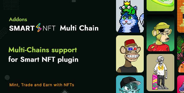 Smart NFT Multi Chain (Addons)