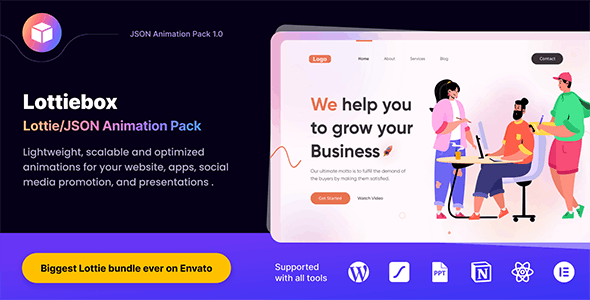 Lottiebox Lottie Animation Bundle and JSON Animation Kit