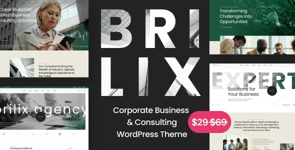 Brilix – Corporate Business  Consulting WordPress Theme