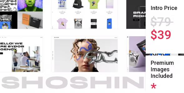 Shoshin – Digital Agency Theme