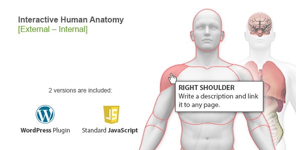 Interactive Human Anatomy – WordPress Plugin