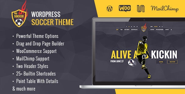 Soccer Acumen – Football Club WordPress Theme