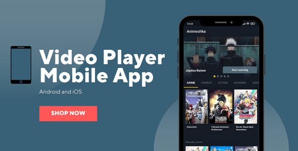 Mobile video player