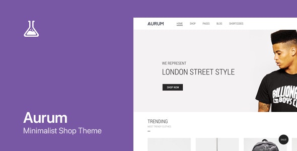 Aurum – WordPress & WooCommerce Shopping Theme 3.29