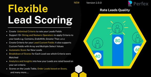 Flexible Lead Scoring Module for Perfex