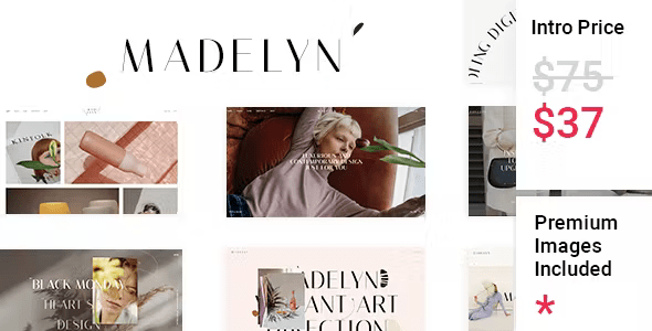 Madelyn – Elegant Creative Theme 1.0.1